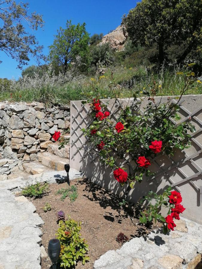 Tre Castelli Bed & Breakfast Монтичело Екстериор снимка